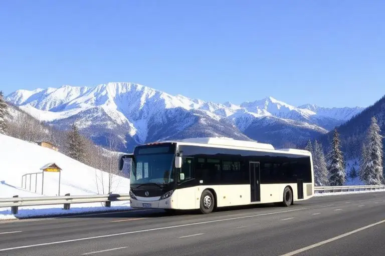 Transporte VIP